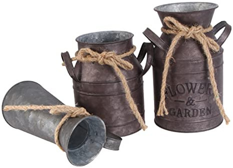 Garneck 3st Deko Antik Garten Metall Pflanzeimer Vintage Blumenvase Deko Fahrrad Garten Sukkulenten Eimer Französische Blumenvase Eisen Pflanzer Topf Altmodisch Blumenarrangement