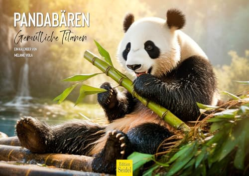 Edition Seidel Premium Kalender Pandabären 2026 Format DIN A3 Wandkalender Tierkalender China Berge Bambus Wald Panda Pandabär Säugetiere Melanie Viola