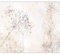 murando Fototapete selbstklebend Pusteblumen 343x256cm Foto Tapete Tapetenfolie Möbelfolie Wandverkleidung Wandtapete Motivtapeten Bildtapete Wohnzimmer 3d Effekt Modern Betonoptik Natur Botanik