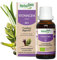 HerbalGem Stomagem Bio Complexe de Gemmothérapie Concentrée Equilibre Digestif 30 ml