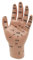 FHUILI Akupunkturhandmodell - 15cm Kind Hand Akupunktur Modell - Puppe Massage Hand Practice Hand Modell für Meridian Massage Lehre,A