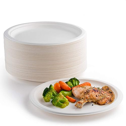 150 piatti di carta, bianchi,23 cm, 100% biodegradabili e compostabili, piatti usa e getta, ecologici, per picnic, barbecue (Bianco, 150 Stück/23cm)