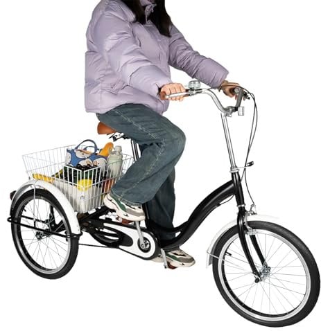 DGKLNDSY Dreirad Fahrrad aus Kohlenstoffstahl, 20 Zoll, 3-Rad, Single-Speed-Dreirad für Erwachsene Senioren Dreirad Cruise Bike mit Korb