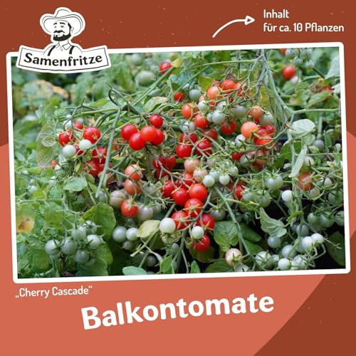 Tomatensamen Cherry Cascade für ca. 10 Pflanzen - pflegeleichte Ampeltomate