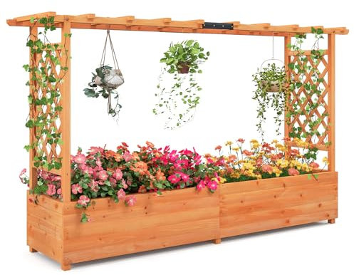 RELAX4LIFE Jardinière Surélevée avec Treillis Latéral & Supérieur, Jardinière sur Pied avec Treillis&Trous de Drainage, Conteneur de Plantes Vertical Pourvignes Grimpantes (200x44x114CM)