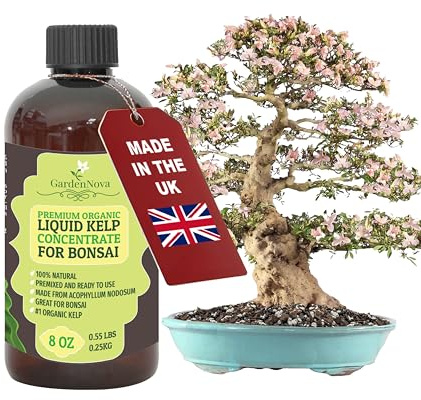 GARDENNOVA Premium Organic Seaweed & Kelp Superfood for Bonsai Trees Plants - 8 oz - Liquid Kelp Fertilizer Concentrate (Makes 25 Litres)