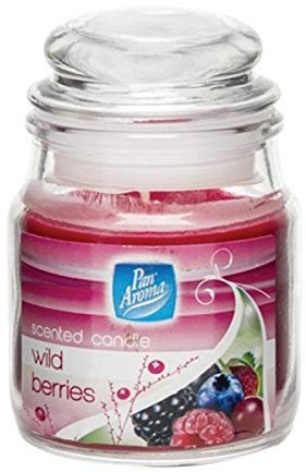 Pan Aroma Wild Berries Scented Candle - Small Jan