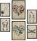 Nacnic Set von 6 Poster Vintage Text. Sammlung von Platten mit ästhetischer Collage für Innendekoration. Größen A3 und A4. Rahmenlos