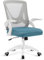 Blisswood Adjustable Office Chair, Desk Chair, Mesh Swivel Chair With 90° Flip-up Armrest With Lumbar Support Adjustable Height (Light Blue & Grey)