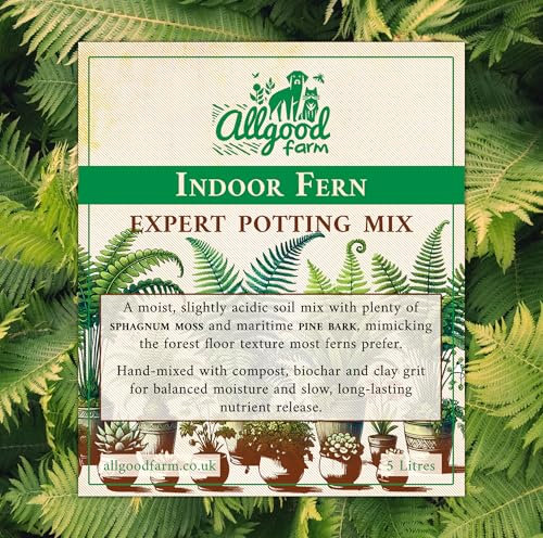 Allgood Farm Indoor Fern Soil - Expert Potting Mix (3 Litres)