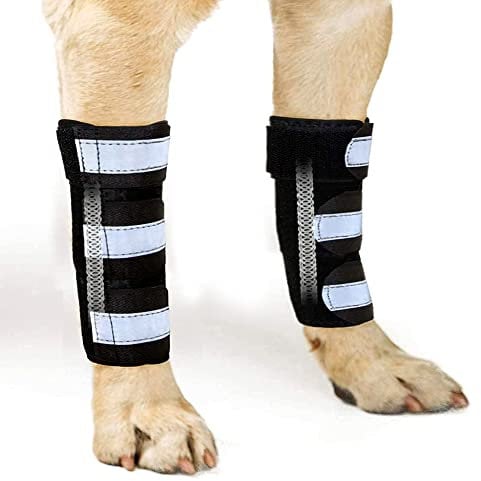 NeoAlly Pair Dog Front Leg Braces Super Supportive with Metal Spring Strips to Stabilize and Support Canine Front Leg Wrist Carpal, Prevent Leg Injuries Sprains Arthritis (L/XL)