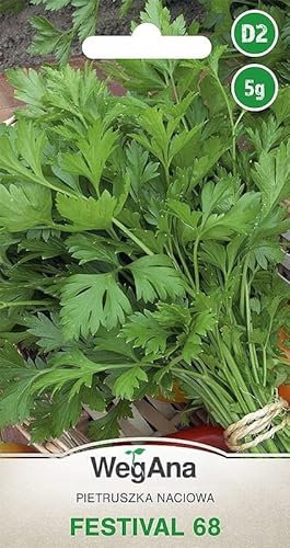 WegAna Petersilie Festival 68 5g, Petersiliesamen, Kräutersamen, Robuste Gemüsesamen, Gemüse Samen, Samen Anzucht, Saatgut für Gewächshaus