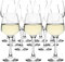 Homiu Wine Glass 330ml White or Red Long Stem Premium Finish Florence Design Glasses (24 Pack)