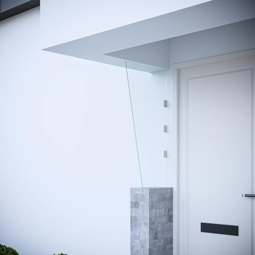 XGWKCNV Furniture select-Side Panel for Door Canopy Transparent 50x100 cm Tempered Glass