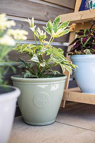 Lightweight Recycled Plastic Garden Pot Planter with Drainage Holes | UV Resistant & Frostproof | Kelkay Traditonal Collection Eden Emblem Small Pot (Green)