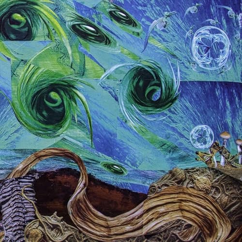 Fluid Existential Inversions [Vinyl LP]