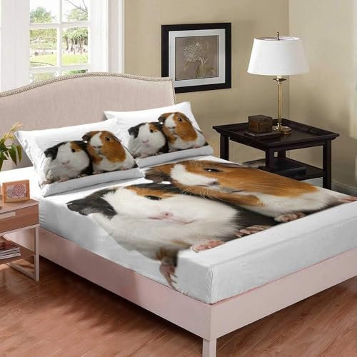 Buohwiwe 3D Spannbettlaken 160x200 Meerschweinchen Bettlaken Weiches Atmungsaktiv Spannbetttücher Meerschweinchen Mikrofaser Spannbetttuch Tiefe Tasche 30 cm Mit 2 Kissenbezügen 80x80 cm aaa2321