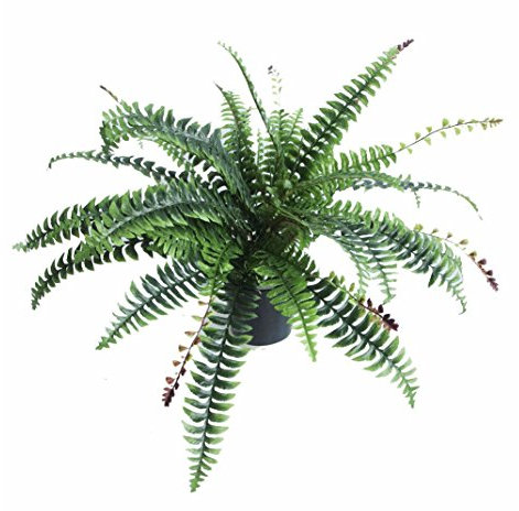 Leaf Kunstpflanze Boston Farn, Kunststoff, 60 cm, Schwarz, LEAF-7104