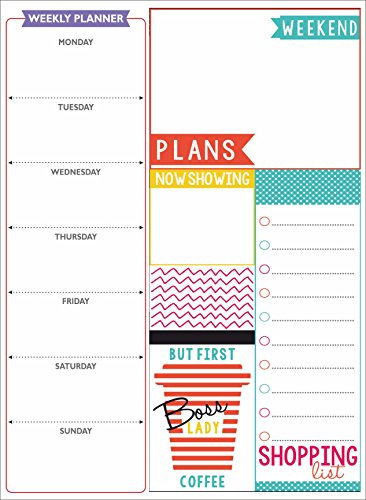 mfm toys Imán para nevera de borrado de escritura tamaño A4, planificadores (planificador de jefe dama), multicolor