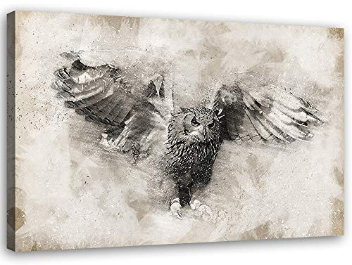 Feeby Wandbild Eule Druckbild Leinwandbild Vogel Beige 70x50 cm
