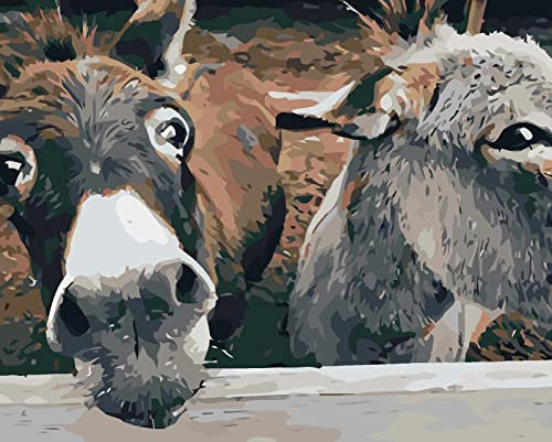 Kreuzstich-Set DIY Handwerk, Paar Esel, 11CT, Stickwerkzeuge, Handarbeit, Motiv vorgedruckt komplette Auswahl Starter-Sets für Anfänger Nähen Kunst Geschenkdekoration 40 * 50cm