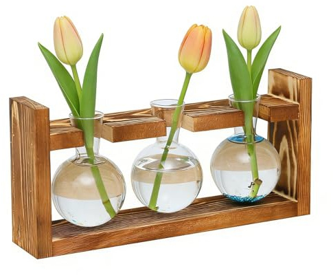 Glass Plant Propagation Station with Wooden Stand - Set of 3 Bud Vases for Hydroponic Herb Flower Cuttings, Elegant Terrarium Kit for Indoor Plants, Stylish Kitchen Windowsill or Desk Decor