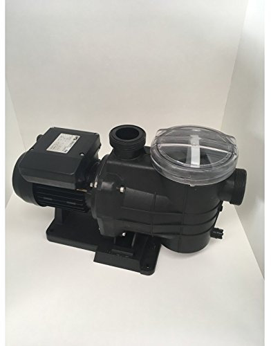 Bomba Autoaspirante piscina con filtro. Serie New Minipump - 0,75 CV