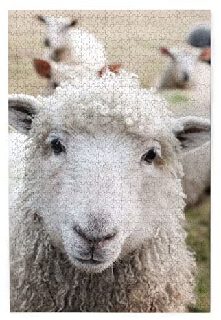 Niedliche Schaf-Lamm-Puzzles sind geeignet für Erwachsene und Jungen und Mädchen. 1000-teiliges Puzzle