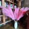 Lot de 8 Fausses Herbes de Pampa Rose foncé de 110 cm, Grandes Fleurs artificielles moelleuses de la Pampa, Longues Fausses Fleurs en Plumes pour Arrangement de Mariage bohème, Salon