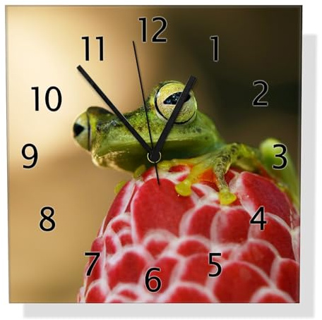 Wallario Design-Wanduhr Frosch sitzt auf Einer Knospe aus Glas, Motiv-Uhr Größe 30 x 30 cm, Schwarze Zeiger