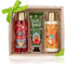 ACCENTRA Hautpflegegeschenk für Damen in Holzbox, inkl. 150ml Duschgel, 150ml Bodylotion, 60ml Hand- & Nagelcreme, Duft: Gingerbread & Cranberry - rot/grün/creme