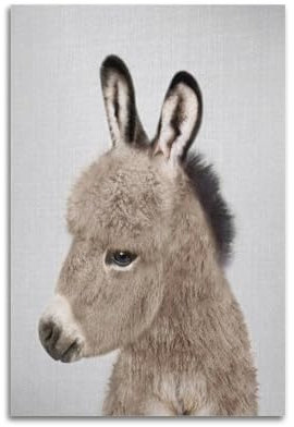 KSOXDAITIP Dekoratives Poster, Motiv: Esel, dekoratives Gemälde, Leinwand, Wandposter und Kunstdruck, modernes Familienschlafzimmer, Dekoration, Poster, 20 x 30 cm