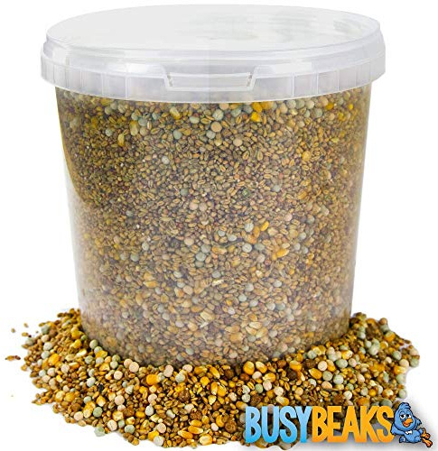BusyBeaks Four Seasons Pigeon Corn | Premium Grade Natural Food Mix | Rich in Nutritious Oils Vitamins and Minerals | Perfect Year-Round Wild Bird Seed Feed | High in Protein Energy & Fibre (5L Tub)