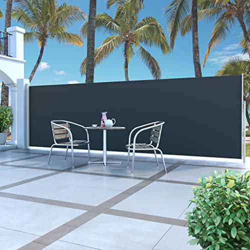 Seitenmarkise Ausziehbar 160 x 500 cm Terrassen-Sichtschutz Ausziehbare Markise, Sonnenschutz, UV-Beständig, Reiß- & Wasserfest, für Terrasse Balkon, Seitenrollo mit Bodenhalterung, Schwarz