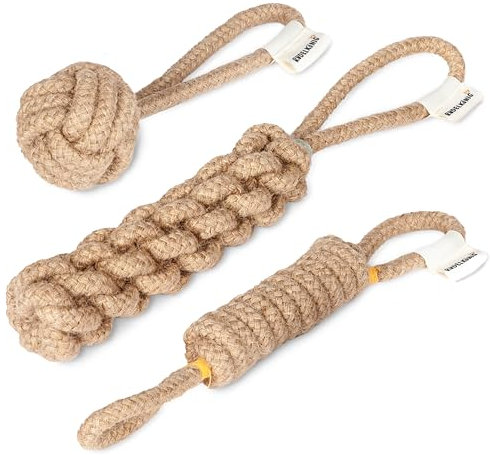 Rudelkönig Corde Chien Indestructible - Set de 3 pièces en Coton 100% Naturel - Jouet Chien pour Petits et Grands Chiens