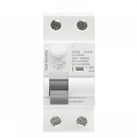 Disjoncteur différentiel de type GYL9 A, 2 pôles, 40 A, 63 A, 30 mA, 100 mA, 300 mA, 1 pièce(2P 63A,300mA)