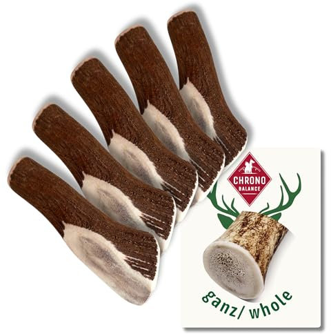 ChronoBalance® XXL Kaustange für Hunde ganze Stücke als Kauspielzeug: 100% Hirschgeweih für Hunde, Hundespielzeug, Leckerli Zahnpflege, Kausnack, Geweih Kauknochen, Natürlich ohne Zusätze (5er Set)