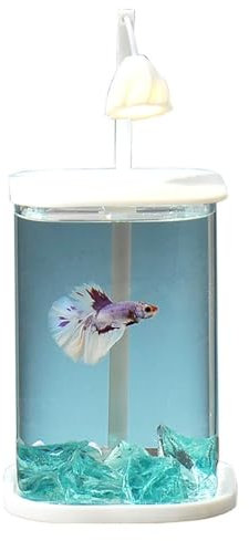 Aquarium De Bureau avec LED Veilleuse, Terrarium en Verre Mini, Fish Tank, Conteneur pour Petits Animaux - Combattant, Crevette, Poisson Rouge - Décor pour Bureau et Chambre