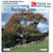 Calendar 2025 British Heritage Trees 2025 Calendar UK Holidays Eco-Friendly MADE IN BRITAIN® with 100% Solar Energy on FSC® Paper Photos by ARCHIE MILES Supports The Woodland Trust Tree Planting