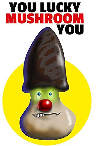 Blechschild 20x30cm gewölbt incl. 4 Magneten You Lucky Mushroom You Spruch Deko Geschenk Schild