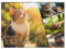 Kalender 2025 - Schlafende Katzen - DIN A4 - Der Wandkalender zum Lieblingstier - Hängekalender für Katzenliebhaber - Kreative Geschenkidee