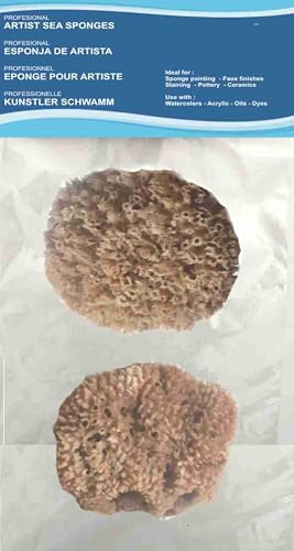 Natürliche Meeresschwämme für Künstler und Profis – 2er-Packung – Größen 10 – 14 cm – Perfekt für Wandmalerei, Dekoration, Strukturierung, Marmorierung, Kunstoberflächen, Basteln und mehr