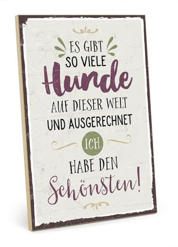 TypeStoff Holzschild mit Spruch – schönster Hund – im Vintage-Look mit Zitat als Geschenk zum Thema Hundenarr - HS-00555