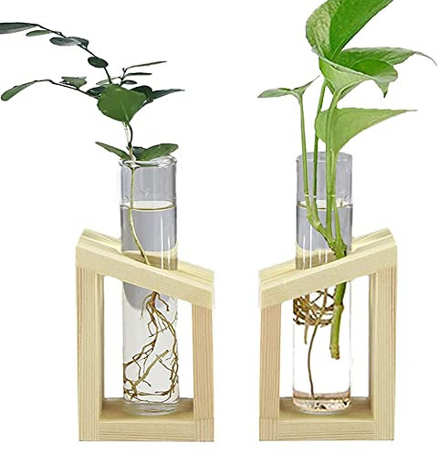 2 Piezas Florero de Vidrio Hidropónico, Maceta de Vidrio Hidropónico, Jarrón de Vidrio Planta de Hidropónica, Cristal Plantas Hidropónicas con Soporte de Madera para Hogar, Jardín, Boda Decorar
