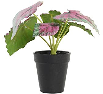 DKD Home Decor Planta Decorativa, Rosa, Verde, Estándar