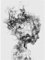 TOCAVE Peindre par Nombre Peinture par numéro Image Digitale Noir et Blanc Femme kit Figurines abstraites peintes sur Toile Art Peint à la Main 40x50cm