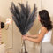 Harry's Cottage Premium Quality Grey Extra Large Pampas Grass Artificial | 3 stems of 115cm Durable Faux Fake Tall Pampas Grass Wall Decoration | Fluffy Large Feathers for Boho Decor Vase