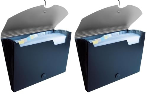 Idena 10078 - Fächermappe DIN A4, PP, 12 Fächer, grau/schwarz, 1 Stück (Packung mit 2)