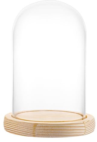 APACALI 1 Stück Glasglocke, 17.5cm Hoch Glasglocke mit Holzboden, Transparent Glasglocke, glaskuppel mit holzboden, Glashaube Glasbox Glas für Lichter, Deko, Wohnaccessoire