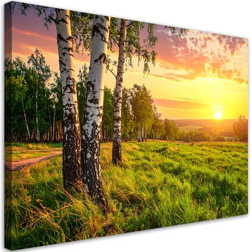 Feeby Wandbilder - Bilder Schlafzimmer - Birken Bäume Sonnenuntergang - 100x70 1tlg - Wohnzimmer Bild Groß - Wohnungs - Foto Geschenk - Leinwand Wall Art - Wand Deko